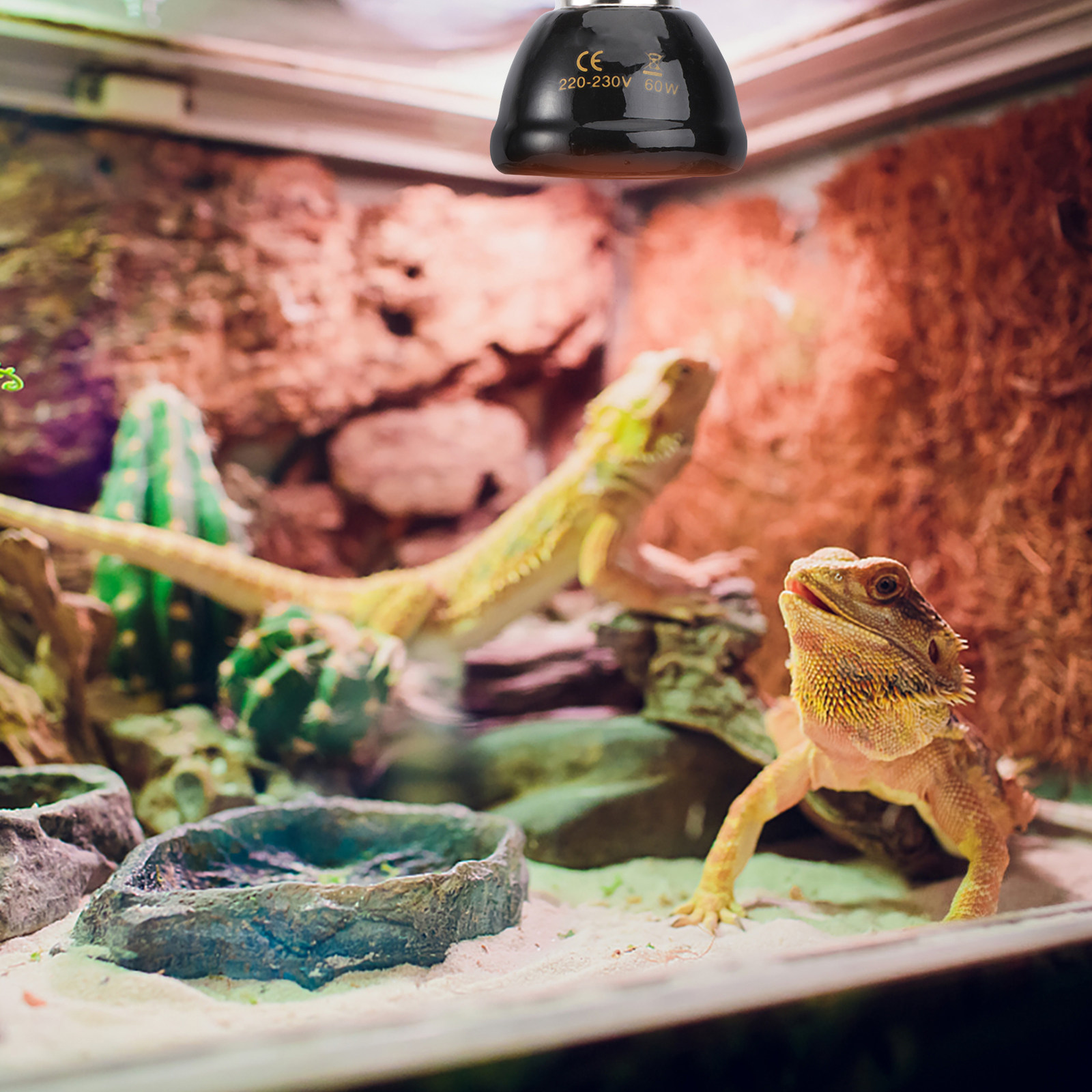 Lampe chauffante en céramique  - Aquarium avis et prix