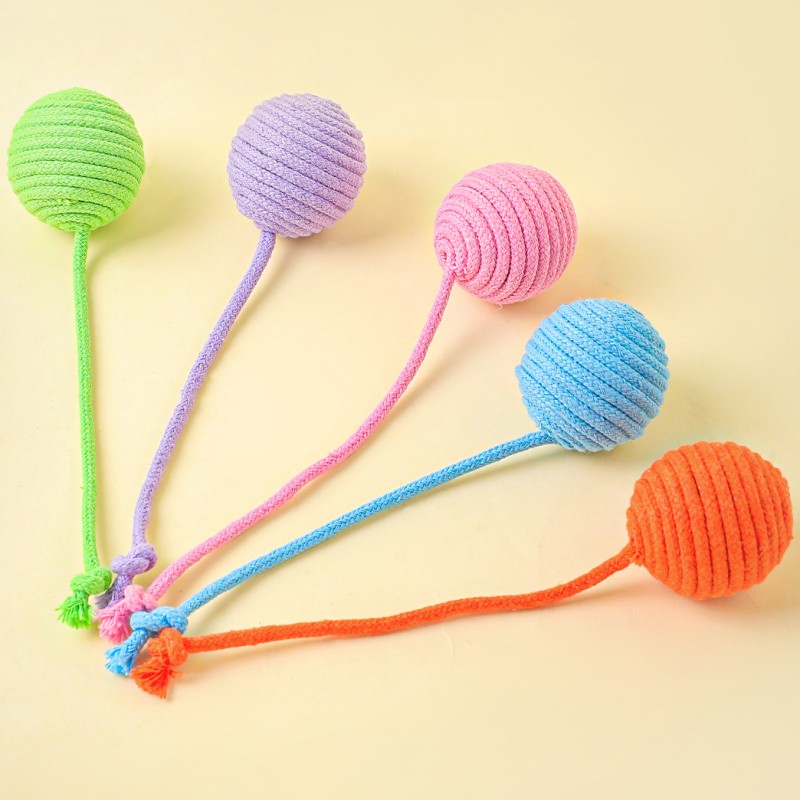 Jouet pour chat, boule de coto - Interactive Squeaky Plush Dog Toy avis et prix