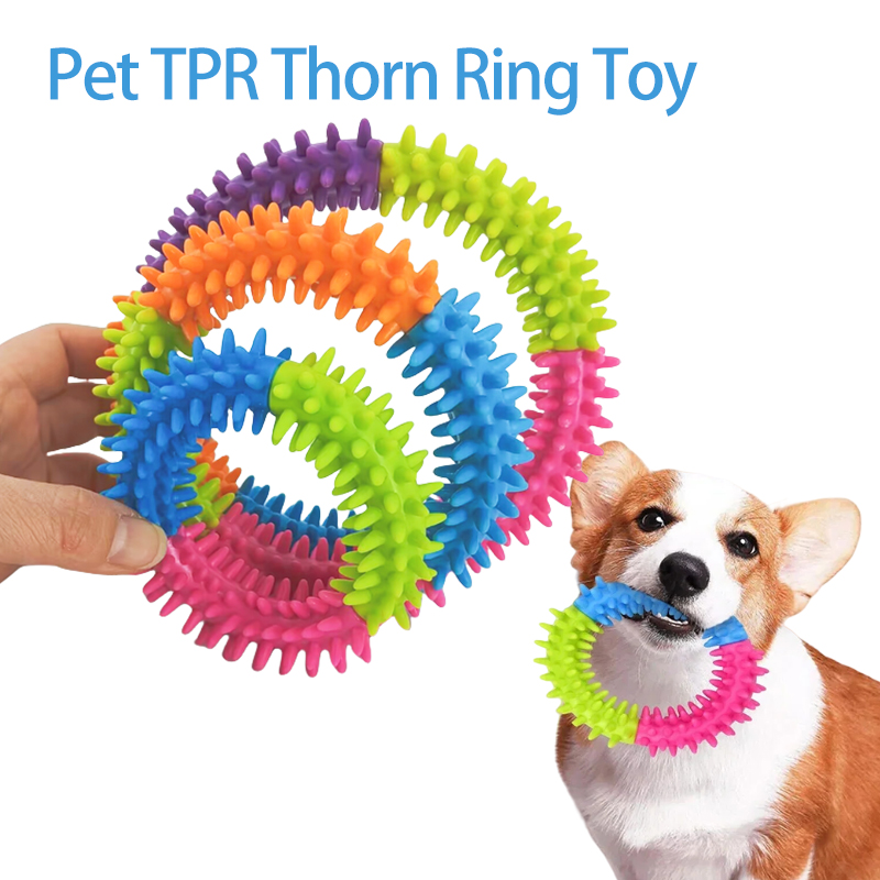 Jouets mignons pour chiens, di - Flying Disc Dog Training Toy avis et prix