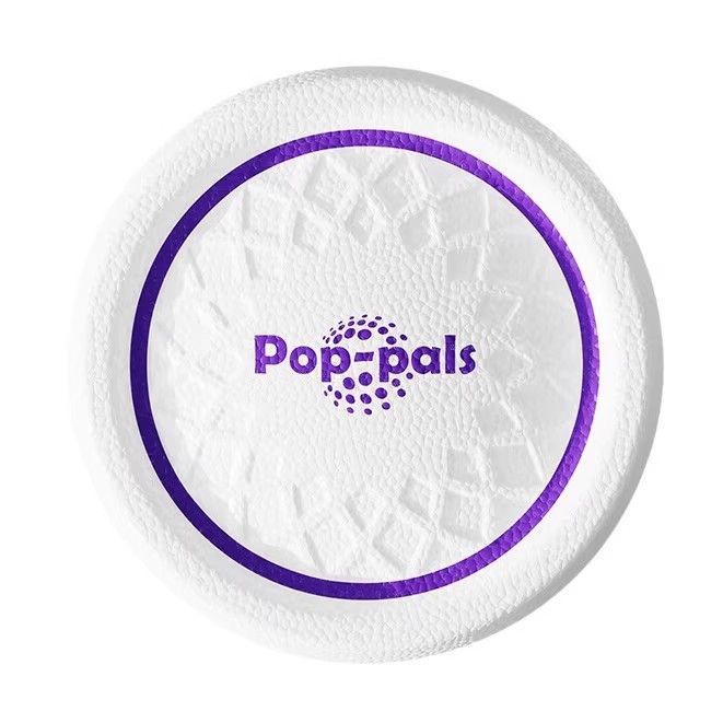Jouet frisbee pour chien, en c - Flying Disc Dog Training Toy avis et prix