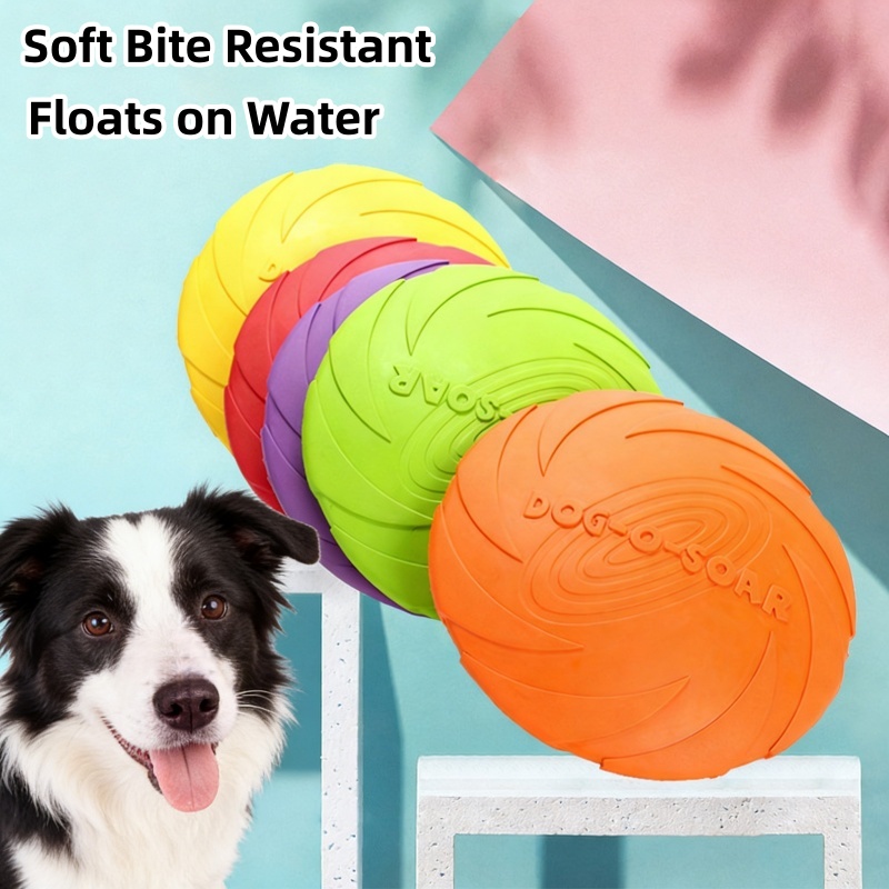 Jouet en silicone résistant au - Flying Disc Dog Training Toy avis et prix