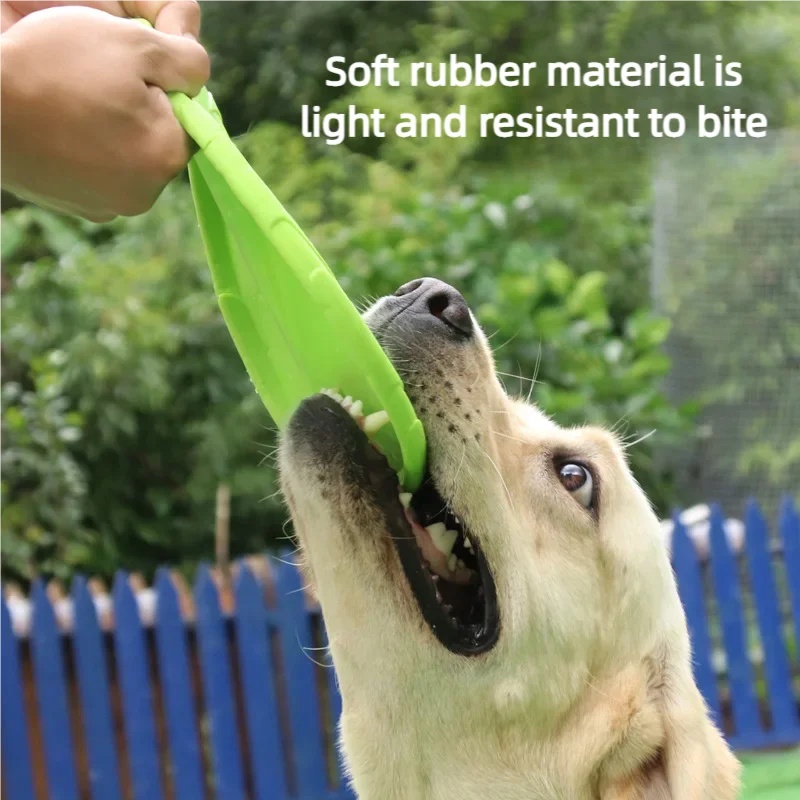Jouet en silicone résistant au - Flying Disc Dog Training Toy avis et prix