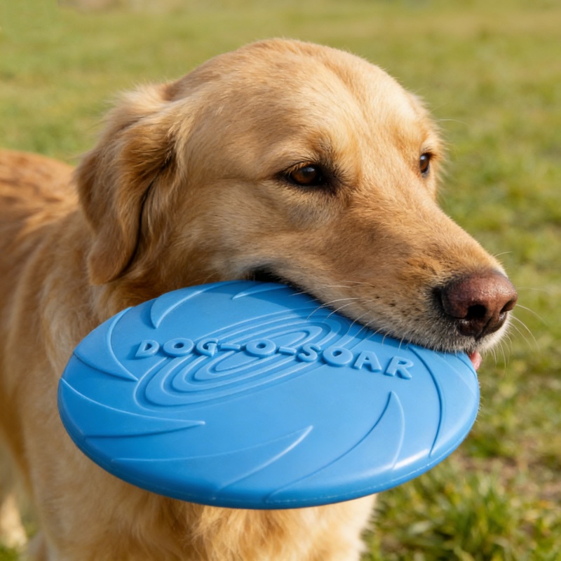 Jouet en silicone résistant au - Flying Disc Dog Training Toy avis et prix