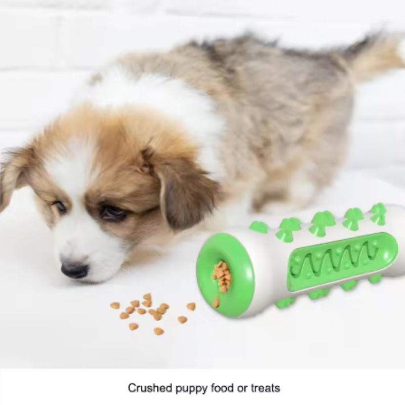 1 pièce, jouet à mâcher enzyma - Teeth Cleaning Dog Chew Bone avis et prix
