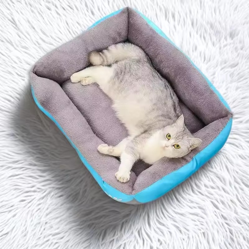 Coussin de lit en peluche douc - Interactive Squeaky Plush Dog Toy avis et prix