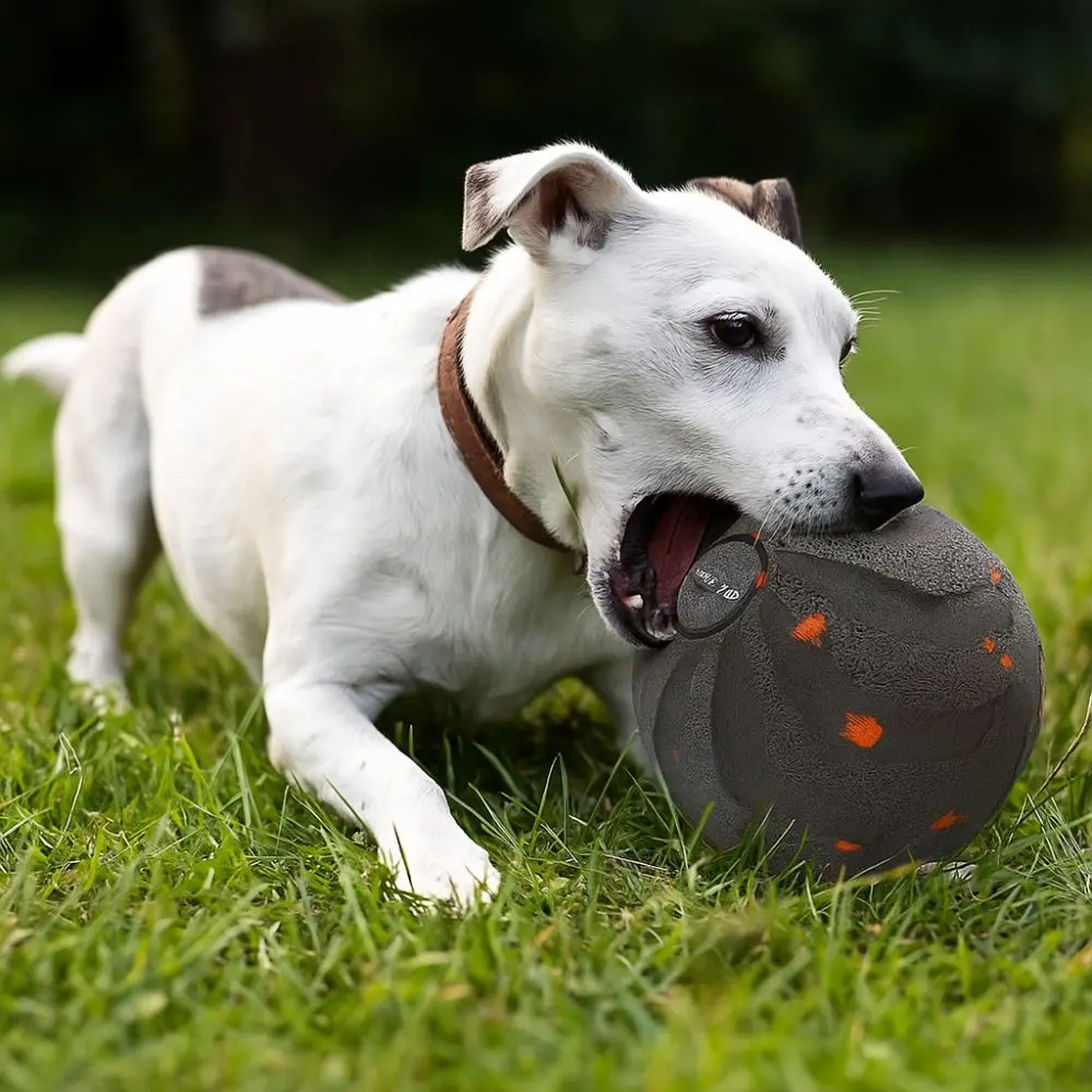 Balle Jouet Intelligente pour  - Automatic Moving Dog Ball avis et prix